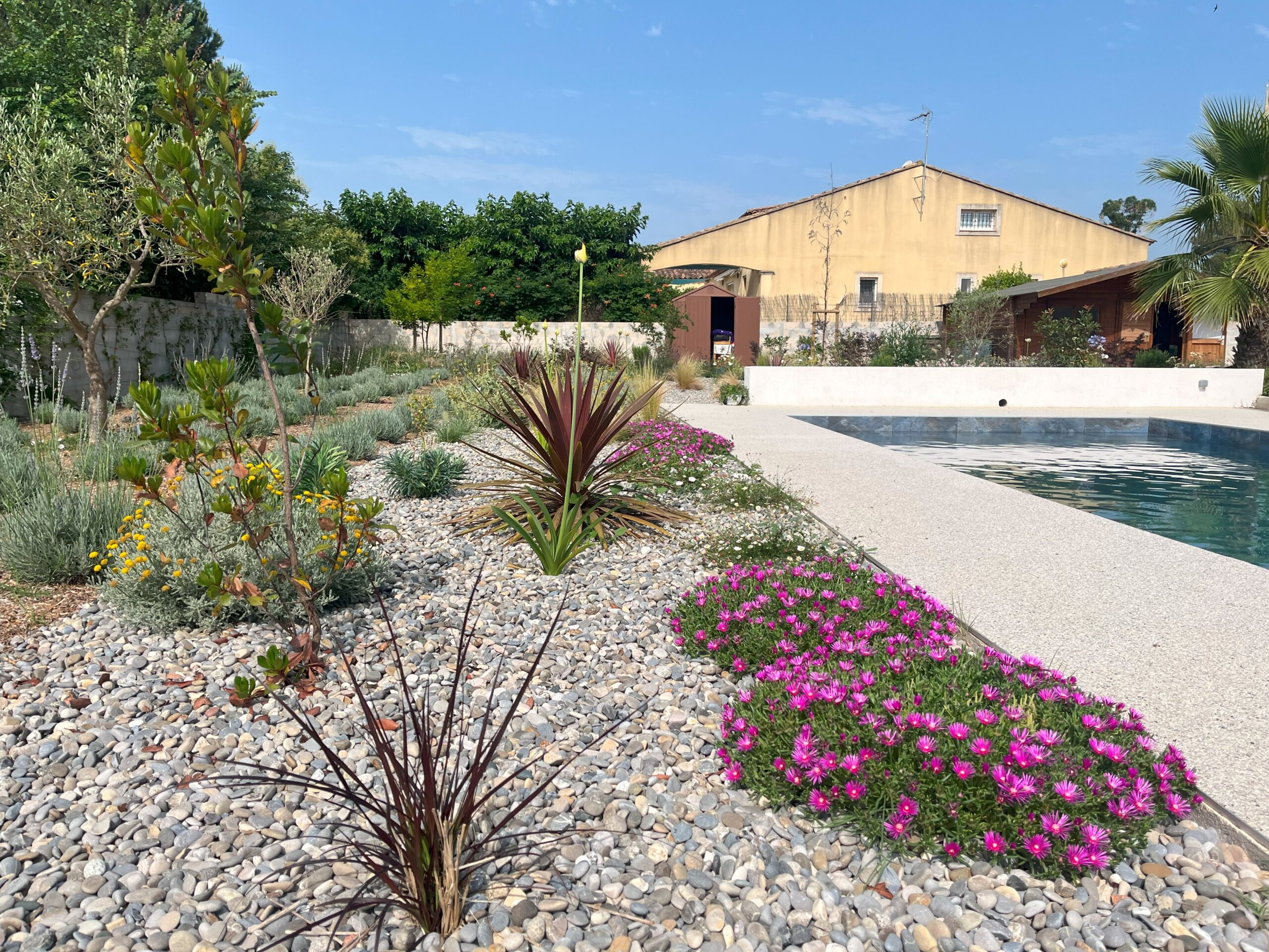 Plantation de végétation