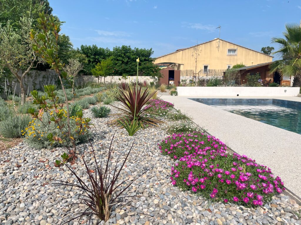 Plantation de végétation