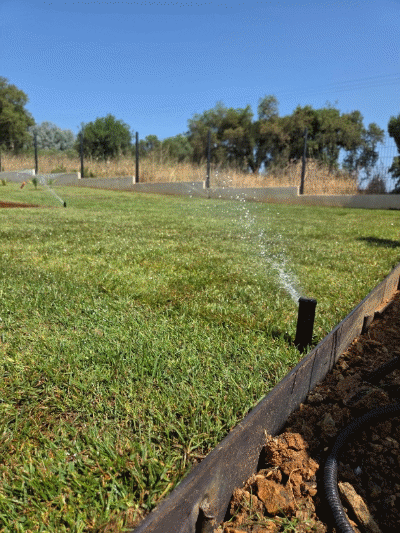 arrosage automatique